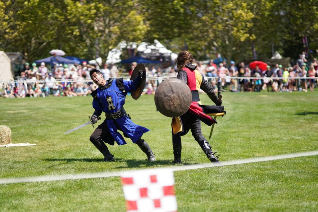 Knights of Mayhem - Sir Hector and Sir Avery fight on the field