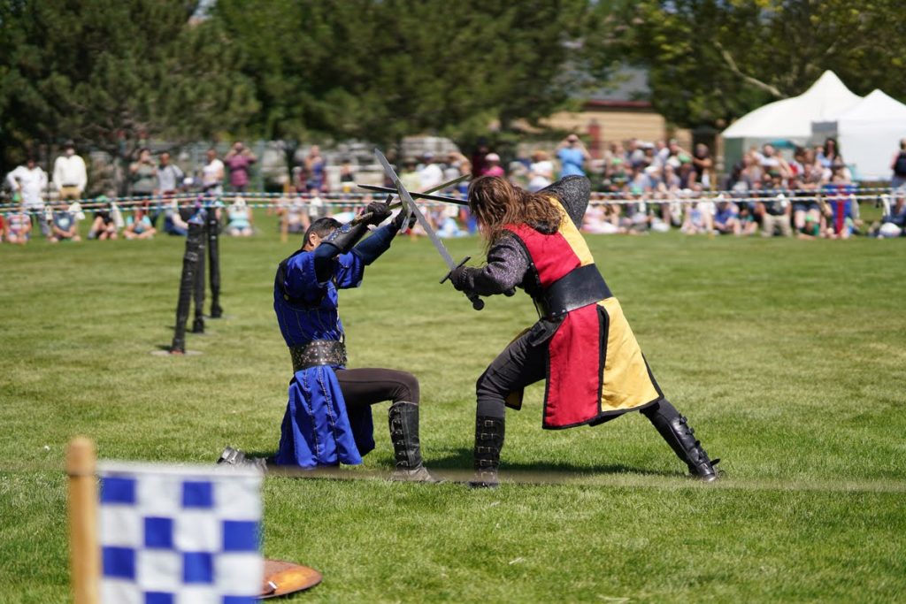 Knights of Mayhem - Sir Hector and Sir Avery fight on the field